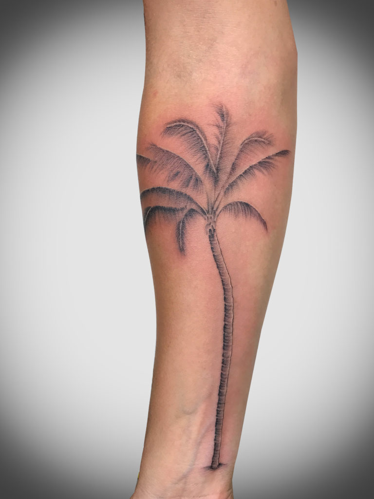 Q Tattoo in Huntington Beach - Sara Delara - palm tree
