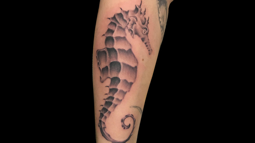 Q Tattoo in Huntington Beach - Sara Delara - the seahorse
